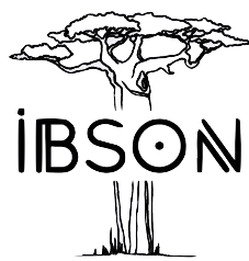 Ibson Immobilier